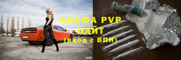 стафф Вязьма
