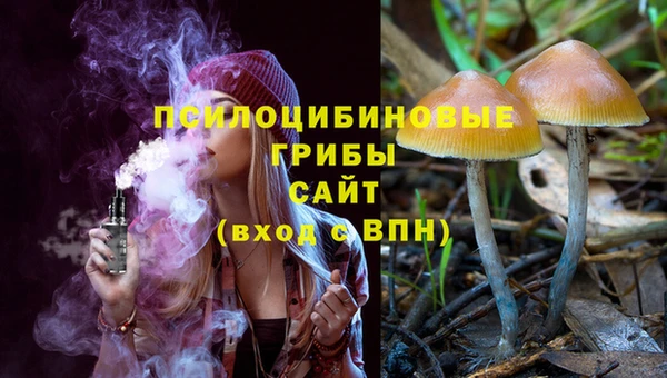 прущая мука Вяземский