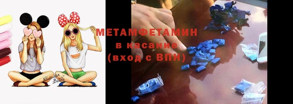 прущая мука Вяземский