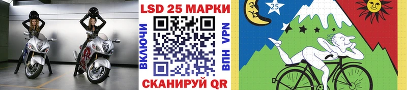 Купить где  Кашин  Марки NBOMe 1,5мг 